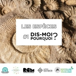 Dis-moi pourquoi ? #1 - Les espèces