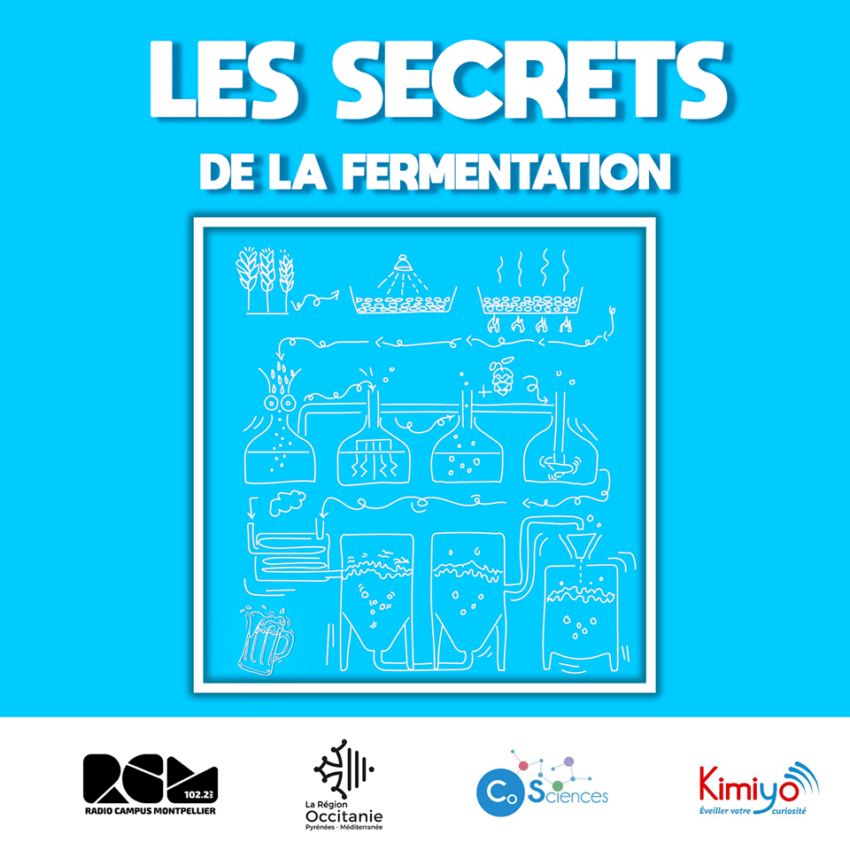 Les secrets de la fermentation Radio Campus Montpellier