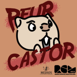 Peur Castor Radio Campus Montpellier