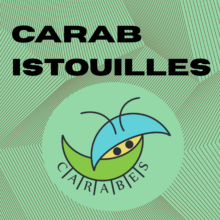 Carabistouilles